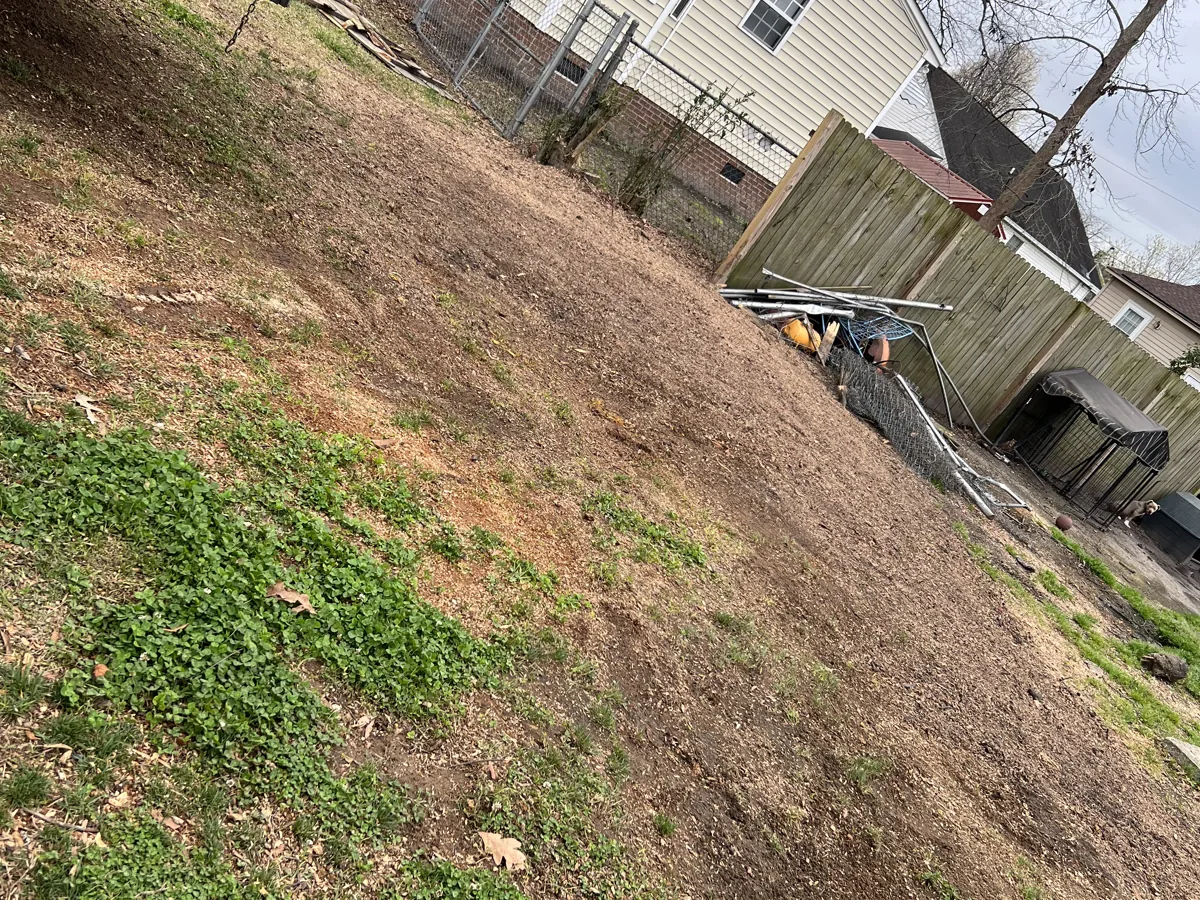 Cleared backyard lot with trees and brush removed behind a home in Greenville, NC
