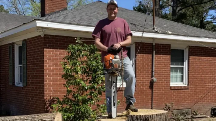Freshly cut hardwood stump in front of a brick home in Greenville, NC before grinding