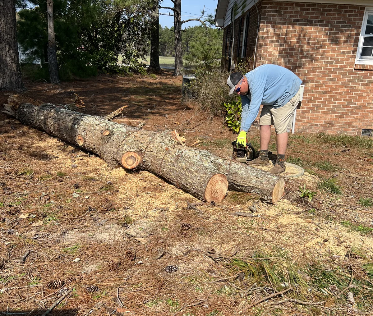 Matthew Bryan bucking a felled pine log beside a brick ranch house in Greenville, NC