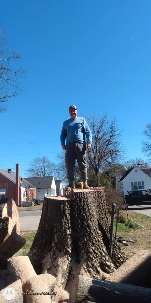 Matthew Bryan standing on a large hardwood stump he cut in a Greenville neighborhood